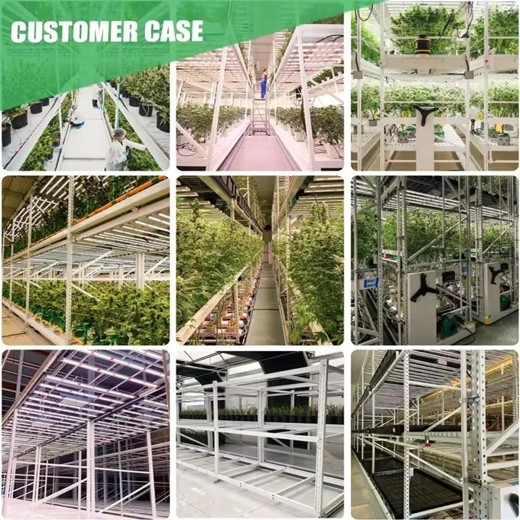 case.jpg case.jpg