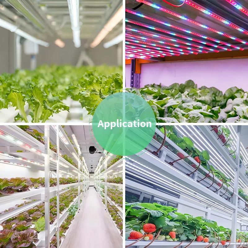 LED grow light tube.jpg LED grow light tube.jpg