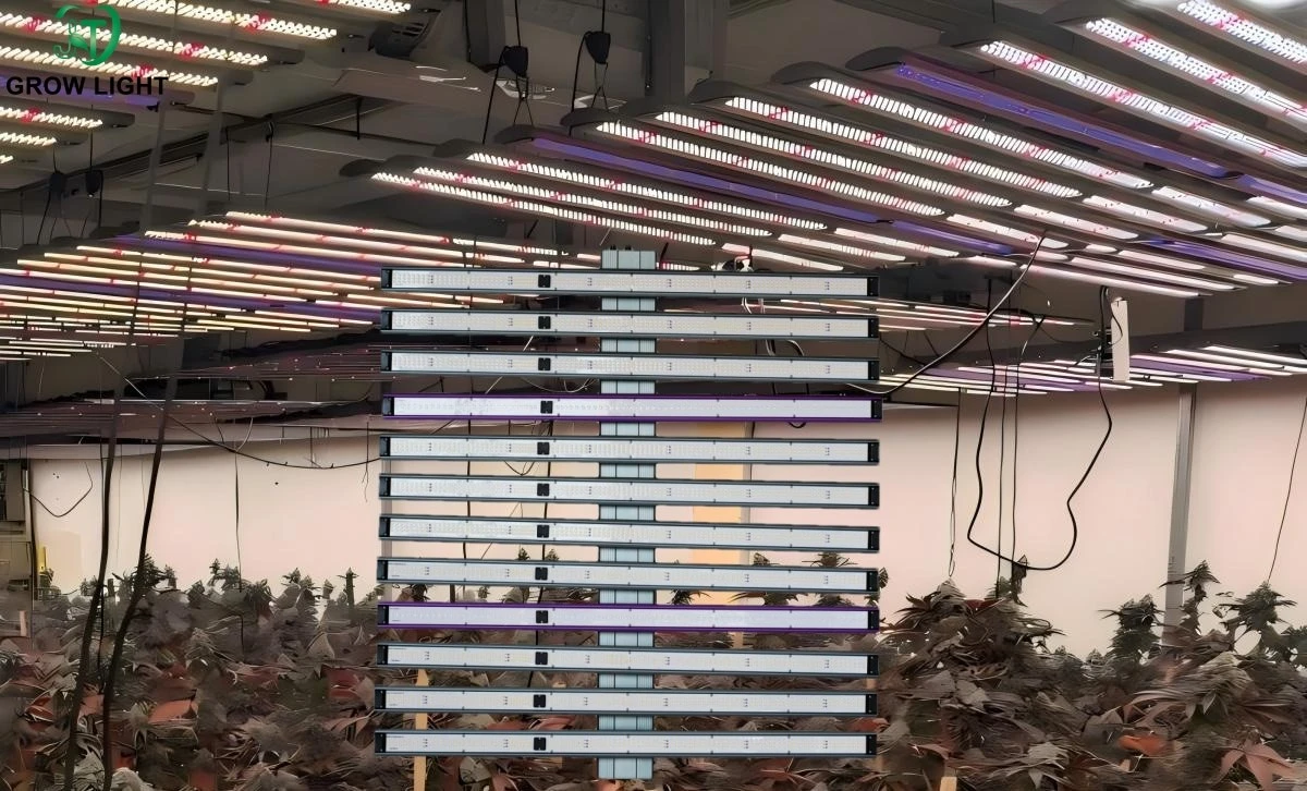 detachable grow light