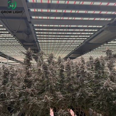 How Foldable Fixtures Reduce Labor During Installation in Commercial Cultivation