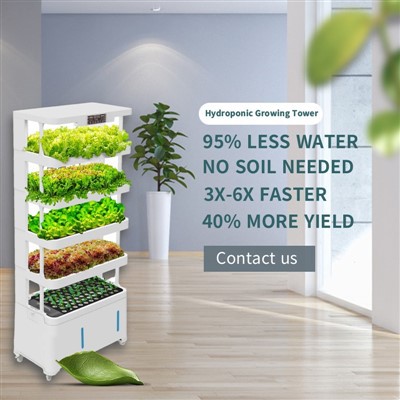 Túr Fás Hydroponic Cliste