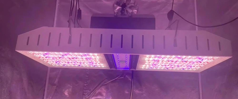 Commercial greenhouse lighting Commercial greenhouse lighting